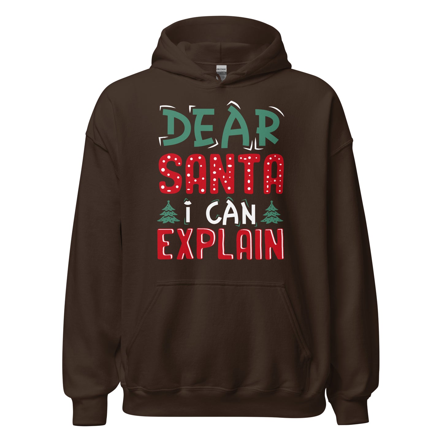 Dear Santa I can explain Hoodie - Weihnachten, ich kann das erklären Kapuzenpullover