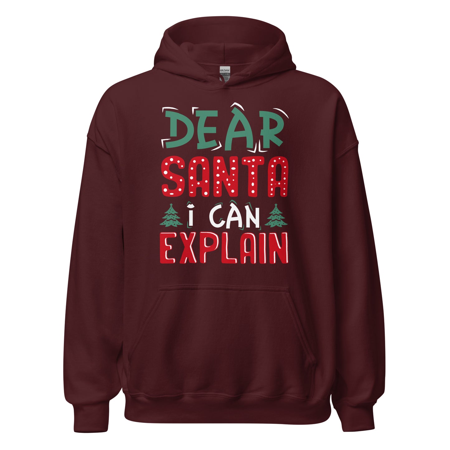 Dear Santa I can explain Hoodie - Weihnachten, ich kann das erklären Kapuzenpullover