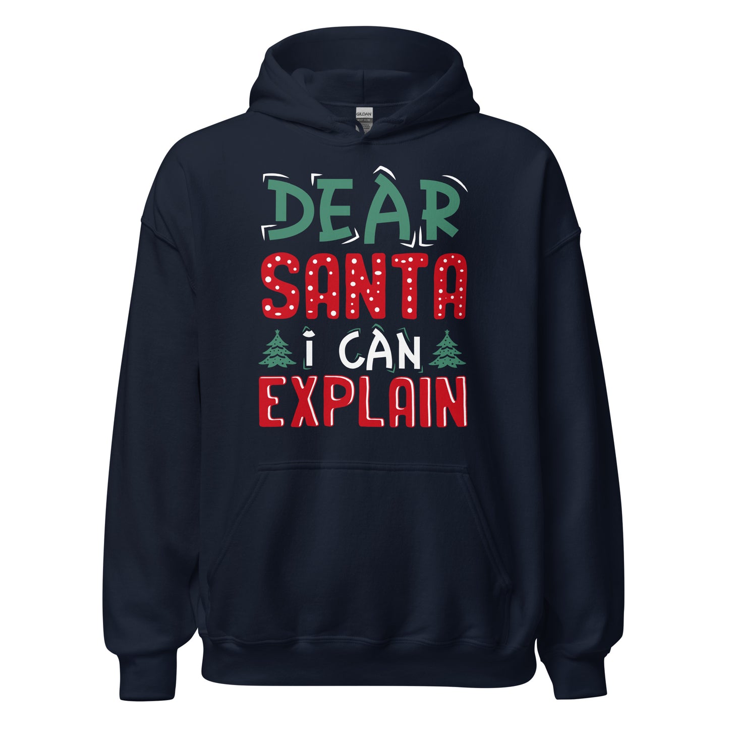Dear Santa I can explain Hoodie - Weihnachten, ich kann das erklären Kapuzenpullover