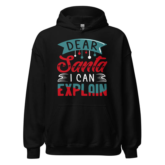 Dear Santa, I can explain Hoodie - Weihnachten Fun Kapuzenpullover