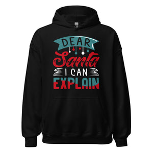 Dear Santa, I can explain Hoodie - Weihnachten Fun Kapuzenpullover