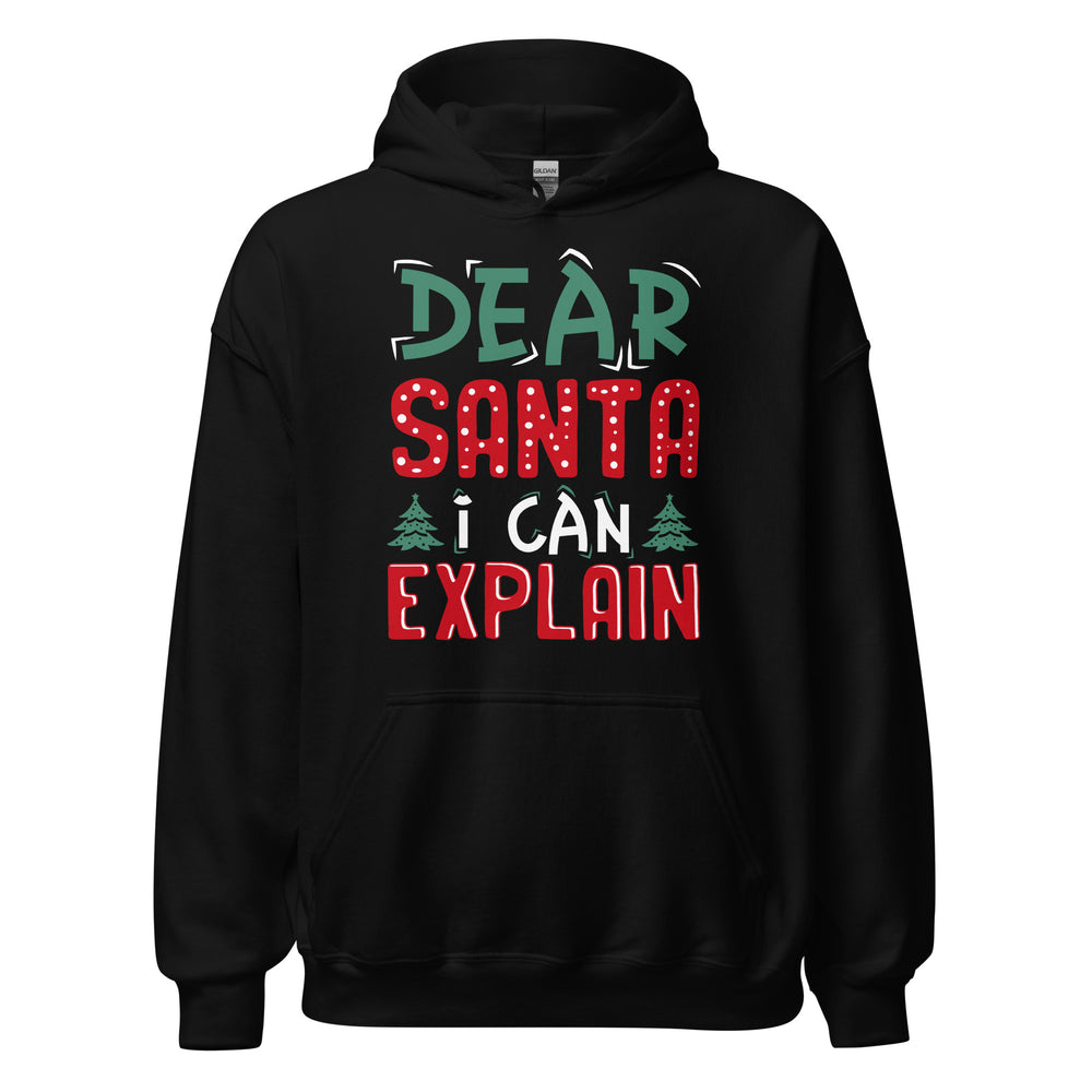 Dear Santa I can explain Hoodie - Weihnachten, ich kann das erklären Kapuzenpullover