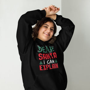 Dear Santa I can explain Hoodie - Weihnachten, ich kann das erklären Kapuzenpullover