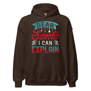 Dear Santa, I can explain Hoodie - Weihnachten Fun Kapuzenpullover