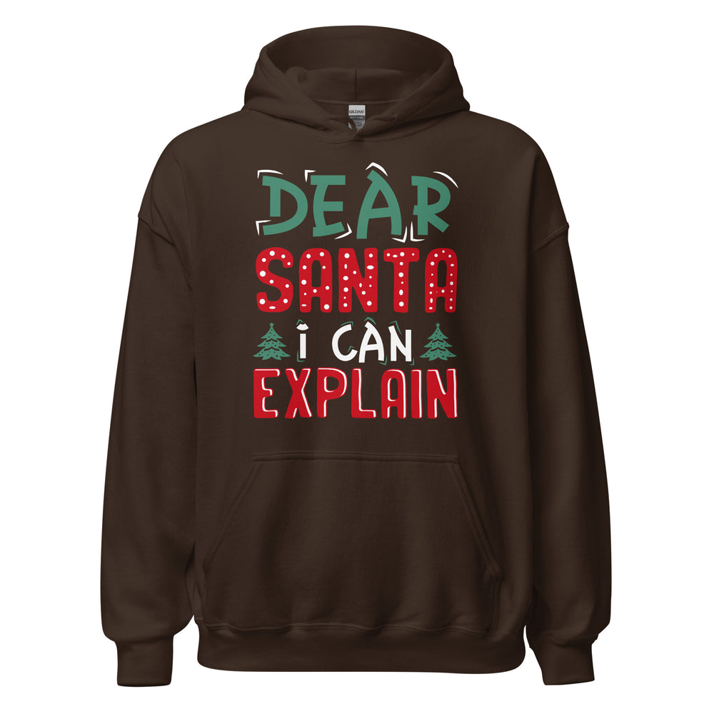Dear Santa I can explain Hoodie - Weihnachten, ich kann das erklären Kapuzenpullover