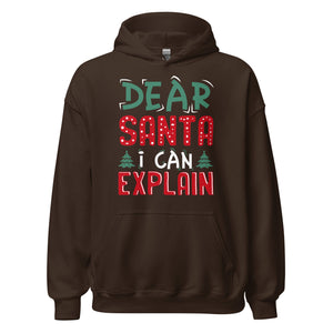 Dear Santa I can explain Hoodie - Weihnachten, ich kann das erklären Kapuzenpullover