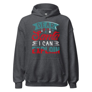 Dear Santa, I can explain Hoodie - Weihnachten Fun Kapuzenpullover