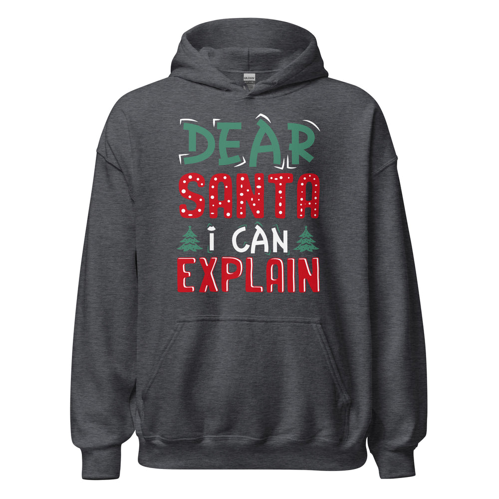 Dear Santa I can explain Hoodie - Weihnachten, ich kann das erklären Kapuzenpullover