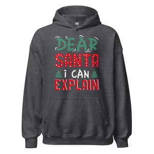 Dear Santa I can explain Hoodie - Weihnachten, ich kann das erklären Kapuzenpullover