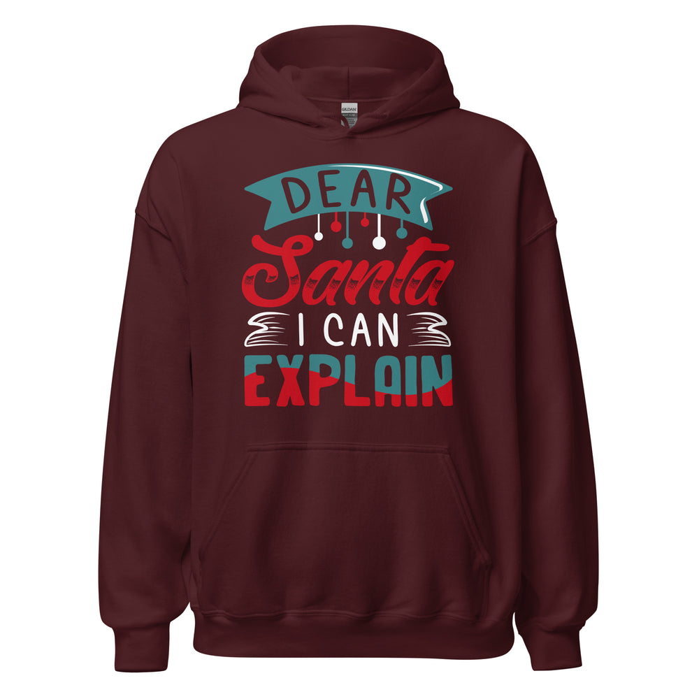 Dear Santa, I can explain Hoodie - Weihnachten Fun Kapuzenpullover