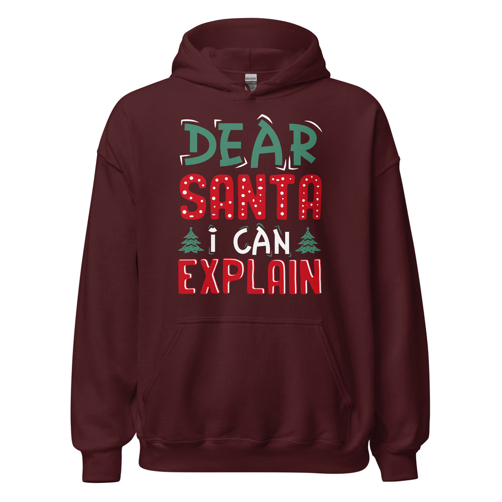 Dear Santa I can explain Hoodie - Weihnachten, ich kann das erklären Kapuzenpullover
