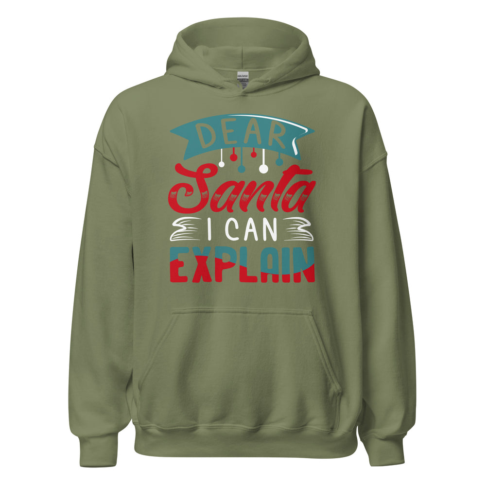Dear Santa, I can explain Hoodie - Weihnachten Fun Kapuzenpullover