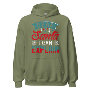 Dear Santa, I can explain Hoodie - Weihnachten Fun Kapuzenpullover