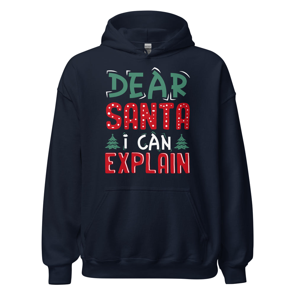 Dear Santa I can explain Hoodie - Weihnachten, ich kann das erklären Kapuzenpullover