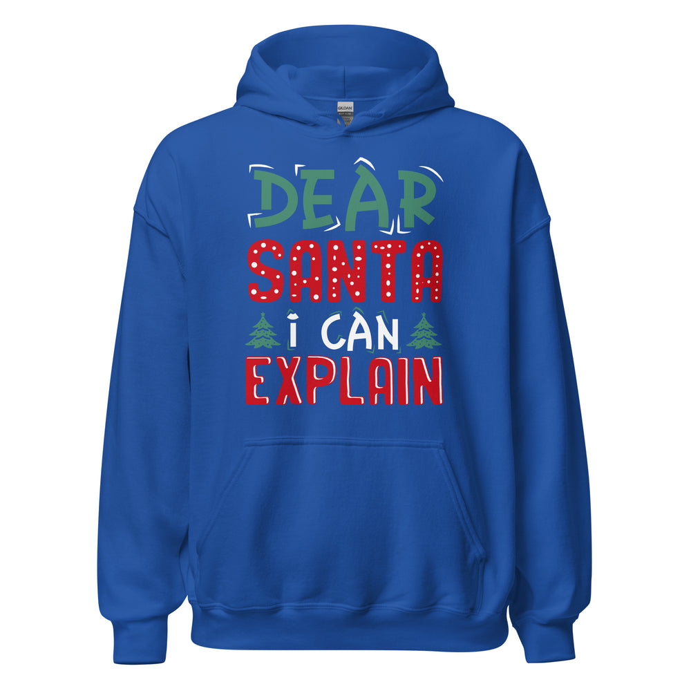 Dear Santa I can explain Hoodie - Weihnachten, ich kann das erklären Kapuzenpullover