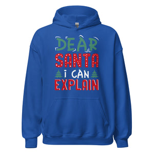 Dear Santa I can explain Hoodie - Weihnachten, ich kann das erklären Kapuzenpullover